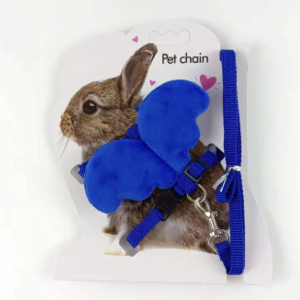 Small animal harness/leash